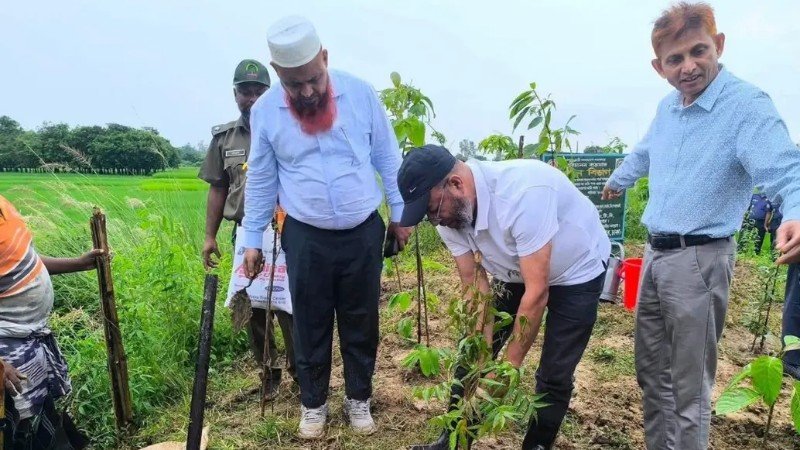 জলবায়ু পরিবর্তন মোকাবিলায় ব্যাপক বনায়নের ওপর গুরুত্ব দিয়েছেন পরিবেশ প্রতিমন্ত্রী